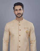 Self Broacde Silver Zari Work Semi Indo