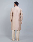 Raw Silk Simple And Comfort Sequence Design Kurta Set