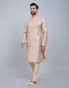 Raw Silk Simple And Comfort Sequence Design Kurta Set