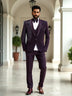 Wine Stunning Polynosic Cutdana Party Wear Tuxido Designer Suit
