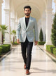 Self Zig Zag Patterned Imported Polyester Terylene Blazer
