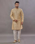 Self Weaving Design Jacquard Party Wear Semi Indo