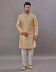 Self Weaving Design Jacquard Party Wear Semi Indo